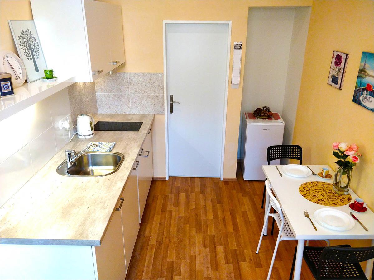 Lidicka Apartment Praga Esterno foto