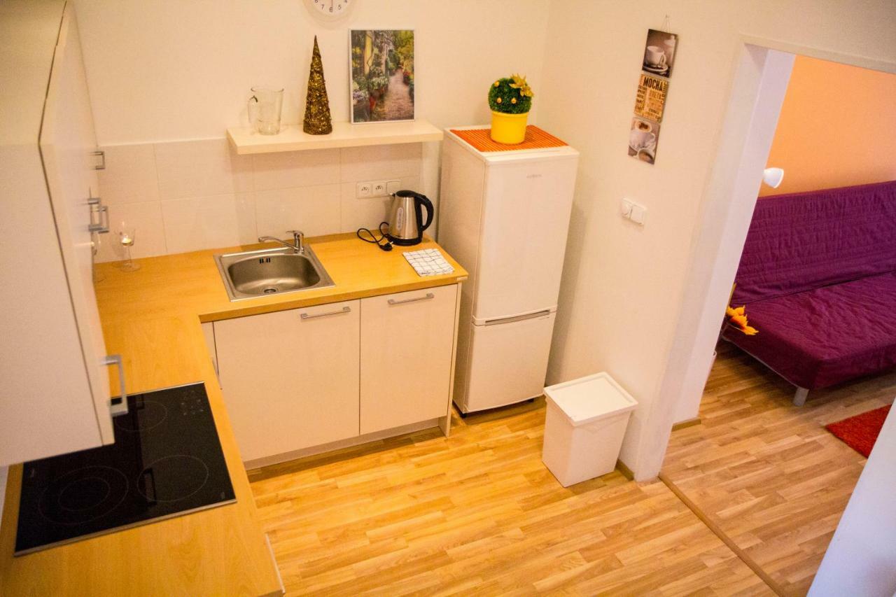 Lidicka Apartment Praga Esterno foto